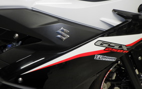 SUZUKI GSX250 R