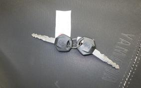 YAMAHA CYGNUSRAYZR 2010