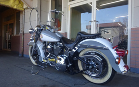 HARLEY FLSTC 1991 BJL