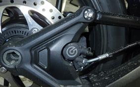 TRIUMPH TIGER 1200 GT PRO 2024