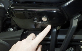 HARLEY RH975S 2025