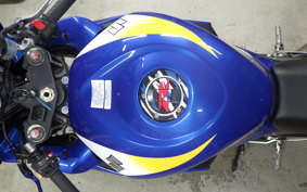 SUZUKI GSX-R1000 2006