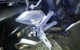 TRIUMPH TRIDENT 660 2024