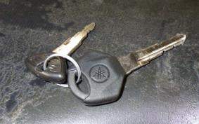 YAMAHA YZF-R25 RG10J