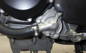 HONDA VTR 250 Gen. 2 2024 MC33