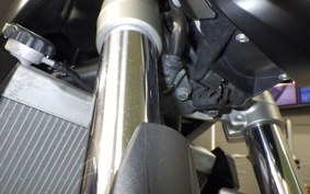 YAMAHA MT-07 2015 RM07J