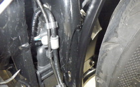 TRIUMPH BONNEVILLE BOBBER 2019