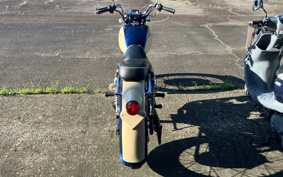 KAWASAKI ESTRELLA RS CUSTOM  BJ250A