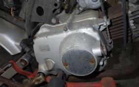 HONDA MONKEY 2009 Z50J