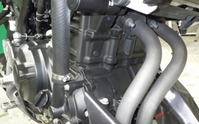 YAMAHA MT-25 1997 RG10J