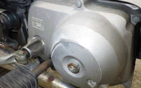 HONDA C50 SUPER CUB 2007 AA01