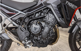 TRIUMPH TIGER 900 2024 TRC81D
