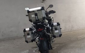TRIUMPH TIGER 1200 RALLY PRO 2024 TAP20V