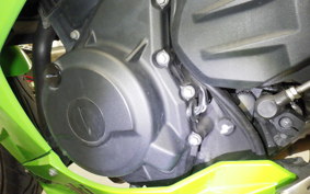 KAWASAKI NINJA 250 2 2024 EX250Y