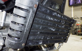KAWASAKI ZEPHYR 750 RS 2025 ZR750D