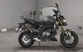 KAWASAKI Z125 PRO  BR125H