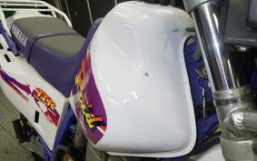 YAMAHA TT250R RAID 2024 4GY