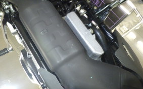 SUZUKI Vｽﾄﾛｰﾑ250A 2024