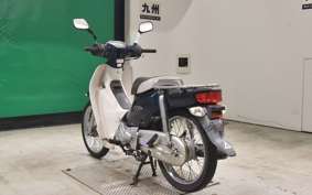 HONDA C110 SUPER CUB