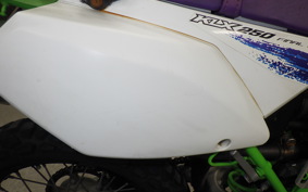 KAWASAKI KLX250 Gen.2 2023 LX250S