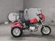 Фото Other TRIKE 125 с японского аукциона