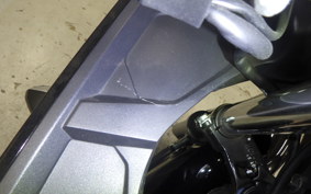 SUZUKI GSX-R125 2007 DL33B