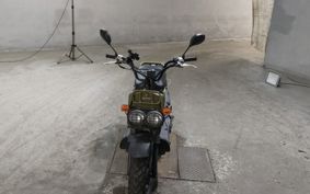 HONDA ZUMAR AF58