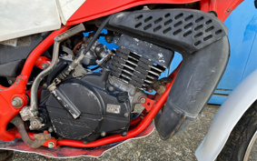 HONDA TLM50 AD07