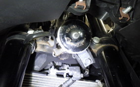 YAMAHA YZF-R25 A 2007 RG43J