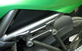 KAWASAKI Z250 SL BR250E