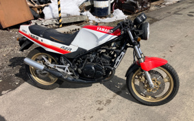YAMAHA RZ250R 29L