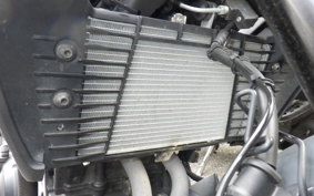 YAMAHA MT-25 A RG74J