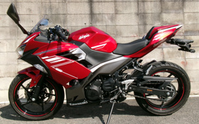 KAWASAKI Ninja 250 ABS EX250P