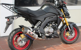 KAWASAKI Z125 PRO BR125H