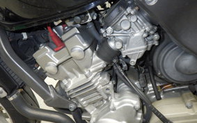 HONDA HORNET 250 2024 MC31