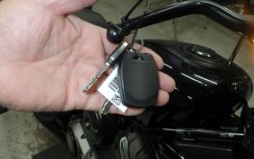 HARLEY RH975 2022