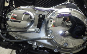 HARLEY XL1200XS 2018
