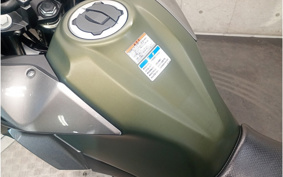 KAWASAKI VERSYS-X 250 LE250D