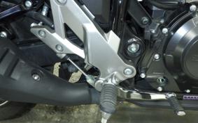 SUZUKI V-STROM 250 A