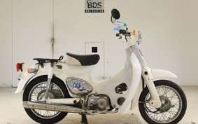 HONDA LITTLE CUB AA01