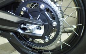 TRIUMPH TIGER 900 RALLY PRO 2026