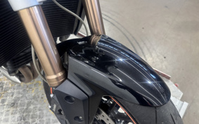 TRIUMPH SPEED TRIPLE 2012 TPN105