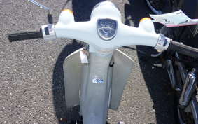 HONDA LITTLE CUB E AA01