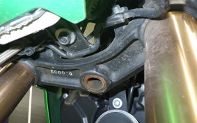 KAWASAKI Z125 PRO 2024 BR125H