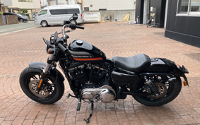 HARLEY  HARLEY XL1200XS 2019 LR3