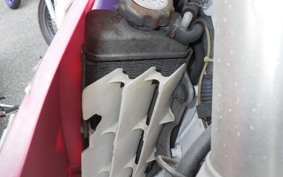 HONDA CRM250R GEN 3 MD24