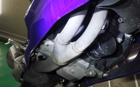 YAMAHA YZF R-3 2021