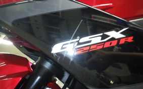SUZUKI GSX250 R 2001