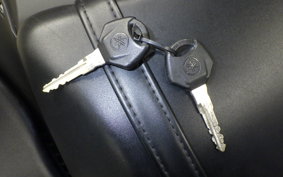 YAMAHA YZF-R3 2020 RH13J