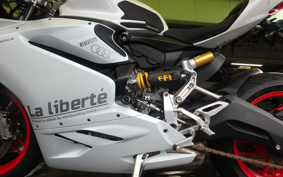 DUCATI 959PANIGA-RE 2019 HA01
